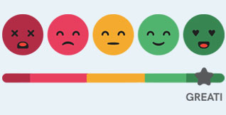 4.9+ Star Rating from Hundreds of Customers