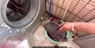 Water Drainage & Filling Problems
