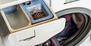 Wipe the door gasket and detergent drawer